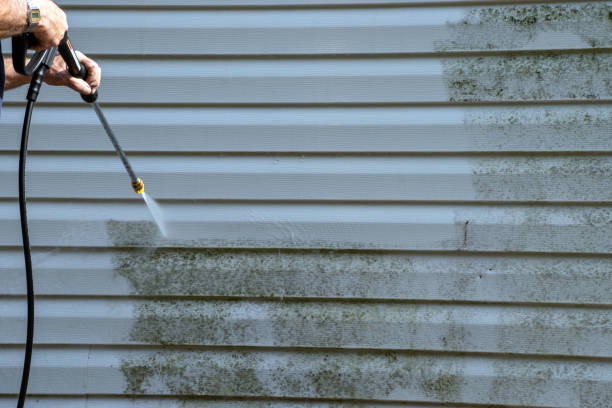 Best Same-Day Junk Removal Services  in Farley, KY
